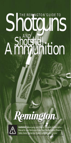Shotguns Ammunition Shotshell AND