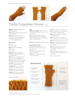 Trellis Fingerless Gloves 1 of 2