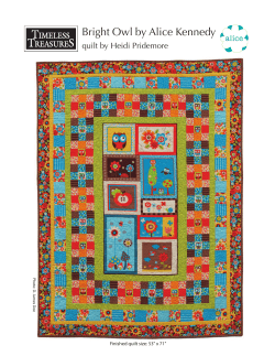Bright Owl by Alice Kennedy quilt by Heidi Pridemore P