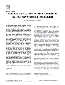 Primitive Reflexes and Postural Reactions in the Neurodevelopmental Examination Review Article