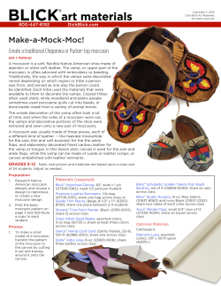 Make-a-Mock-Moc! Create a traditional Chippewa or Pucker-top moccasin
