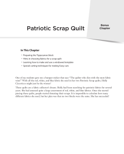 Patriotic Scrap Quilt • In This Chapter Bonus