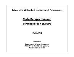State Perspective and Strategic Plan (SPSP)  PUNJAB