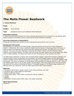 The Metis Flower Beadwork