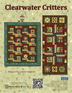 Clearwater Critters Designed by Leanne Anderson Pieced Quilt