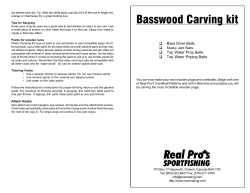 Basswood Carving kit
