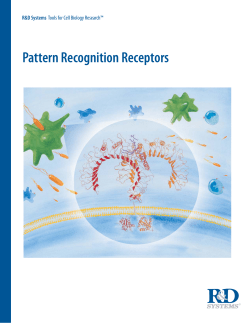 Pattern Recognition Receptors R&amp;D Systems