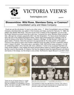 VICTORIA VIEWS Blossomtime: Wild Rose, Stemless Daisy, or Cosmos?   fostoriaglass.com