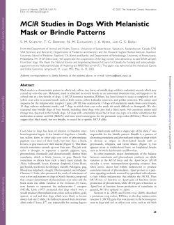 MClR Studies in Dogs With Melanistic Mask or Brindle Patterns