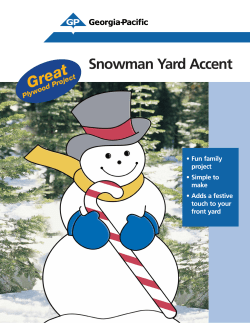 Great Snowman Yard Accent Plywood Project • Fun family