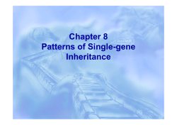 Chapter 8 Patterns of Single-gene Inheritance