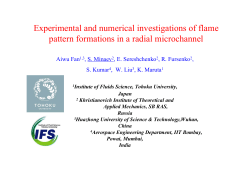 Experimental and numerical investigations of flame Aiwu Fan , S. Minaev