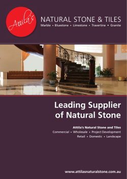 Leading Supplier of Natural Stone NATURAL STONE &amp; TILES
