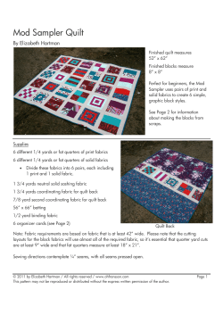Mod Sampler Quilt By Elizabeth Hartman