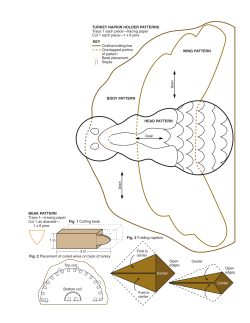 BEAK PATTERN TURKEY NAPKIN HOLDER PATTERNS Trace 1—tracing paper