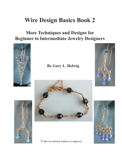 Wire Design Basics Book 2 More Techniques and Designs for