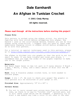 Dale Earnhardt An Afghan in Tunisian Crochet © 2001 Cindy Murray