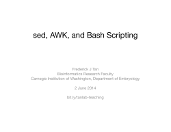 sed, AWK, and Bash Scripting