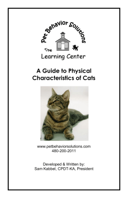 A Guide to Physical Characteristics of Cats www.petbehaviorsolutions.com