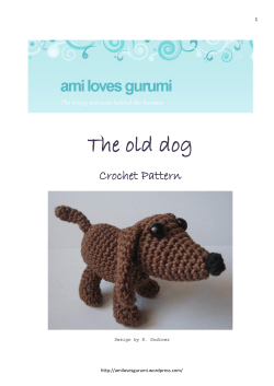The old dog  Crochet Pattern