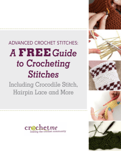 FREE A Guide to Crocheting