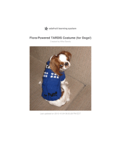 Flora-Powered TARDIS Costume (for Dogs!) Created by Mike Barela