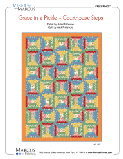 Grace in a Pickle - Courthouse Steps Fabric by Judie Rothermel