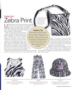Zebra Print trend spy Urban Pouch