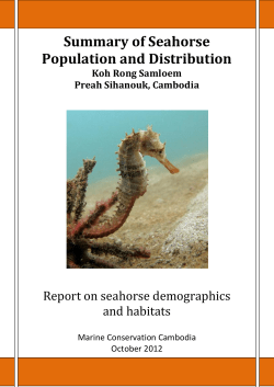 Summary of Seahorse Population and Distribution Report on seahorse demographics and habitats