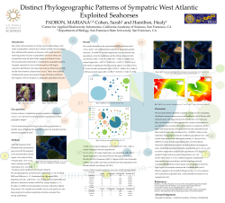 Distinct Phylogeographic Patterns of Sympatric West Atlantic Exploited Seahorses PADRON, MARIANA Cohen, Sarah