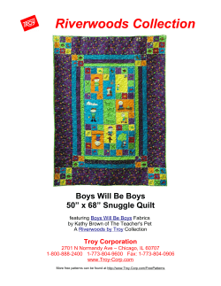 Riverwoods Collection Boys Will Be Boys 50” x 68” Snuggle Quilt Troy Corporation