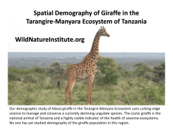 Spatial Demography of Giraffe in the Tarangire Tarangire--Manyara Manyara Ecosystem of Tanzania