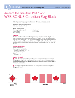 WEB BONUS Canadian Flag Block web bonus at McCallsQuilting.com