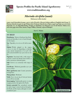 Morinda citrifolia Species Profiles for Pacific Island Agroforestry www.traditionaltree.org In brIef