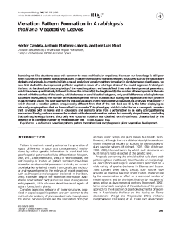 Arabidopsis Vegetative Leaves thaliana He´ctor Candela, Antonio Martı´nez-Laborda, and Jose´ Luis Micol