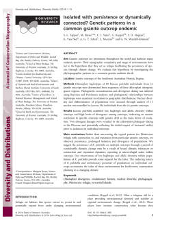 Isolated with persistence or dynamically connected? Genetic patterns in a