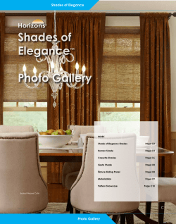 Shades of Elegance Photo Gallery ™