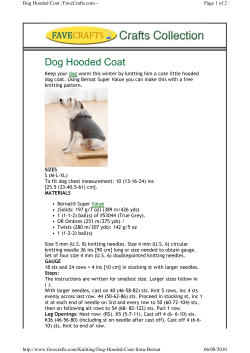 Dog Hooded Coat