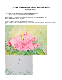Instructions for painting the Hibiscus with Acrylic outline and Water Color.