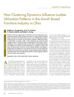 How Clustering Dynamics Influence Lumber Utilization Patterns in the Amish-Based