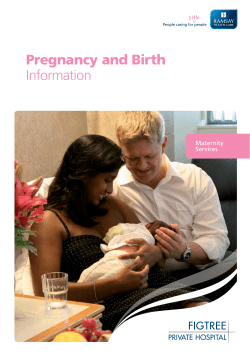 Pregnancy and Birth Information Maternity Services