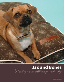 Jax and Bones Presenting our new collections for modern dogs 2006/07 SEASON