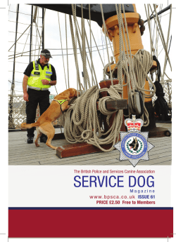SERVICE DOG  ISSUE 61