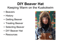 DIY Beaver Hat Keeping Warm on the Kuskokwim Beavers History