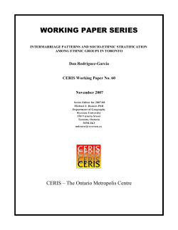 WORKING PAPER SERIES Dan Rodríguez-García CERIS Working Paper No. 60 November 2007