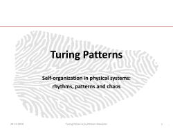 Turing Patterns Self-organization in physical systems: rhythms, patterns and chaos 24.11.2010