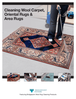 Cleaning Wool Carpet, Oriental Rugs &amp; Area Rugs