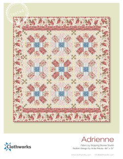 Adrienne ed Test Fabric by Skipping Stones Studio