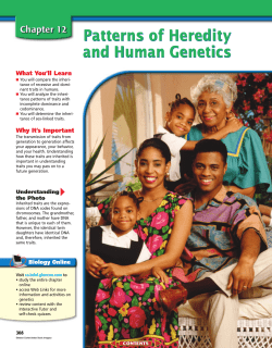 Patterns of Heredity and Human Genetics What You’ll Learn