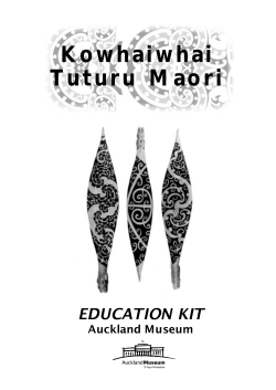 Kowhaiwhai Tuturu Maori EDUCATION KIT